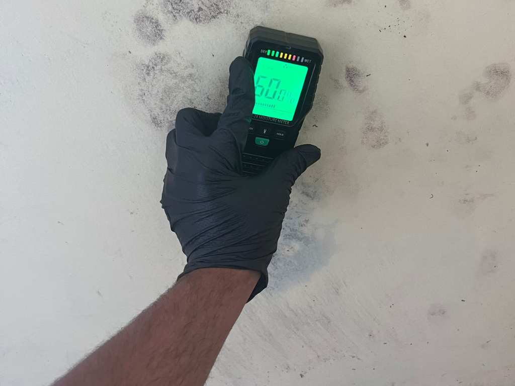 Mold inspection of Greater Los Angeles